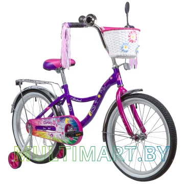 Детский велосипед Novatrack Little Girlzz 207GIRLZZ.VL23 (фиолетовый, 2023) картинка 2